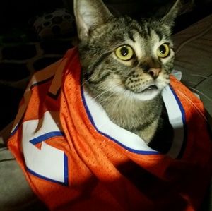 Meet your Posher, Julie